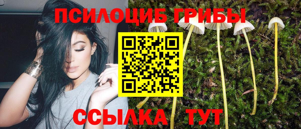 Галлюциногенные грибы MAGIC MUSHROOMS Фурманов