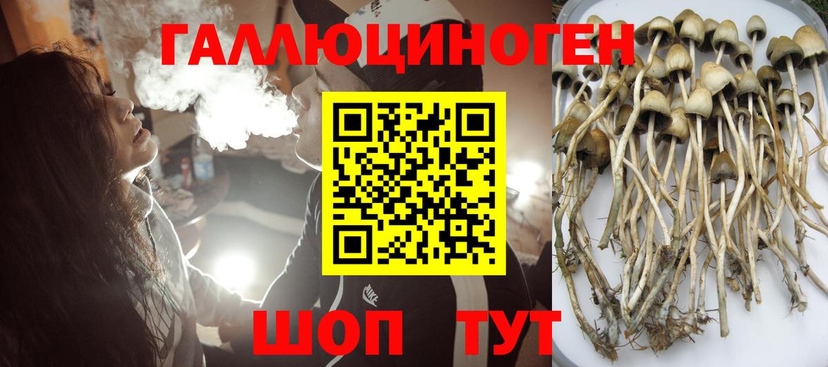 Фурманов  Псилоцибиновые грибы мицелий  Вход с VPN 